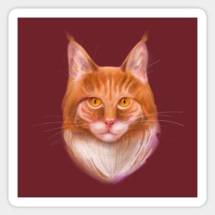 Ginger Maine Coon Cat Sticker